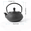 HAWOK Cast Iron Teapot with Stainless Steel Infuser (600ml/20oz)